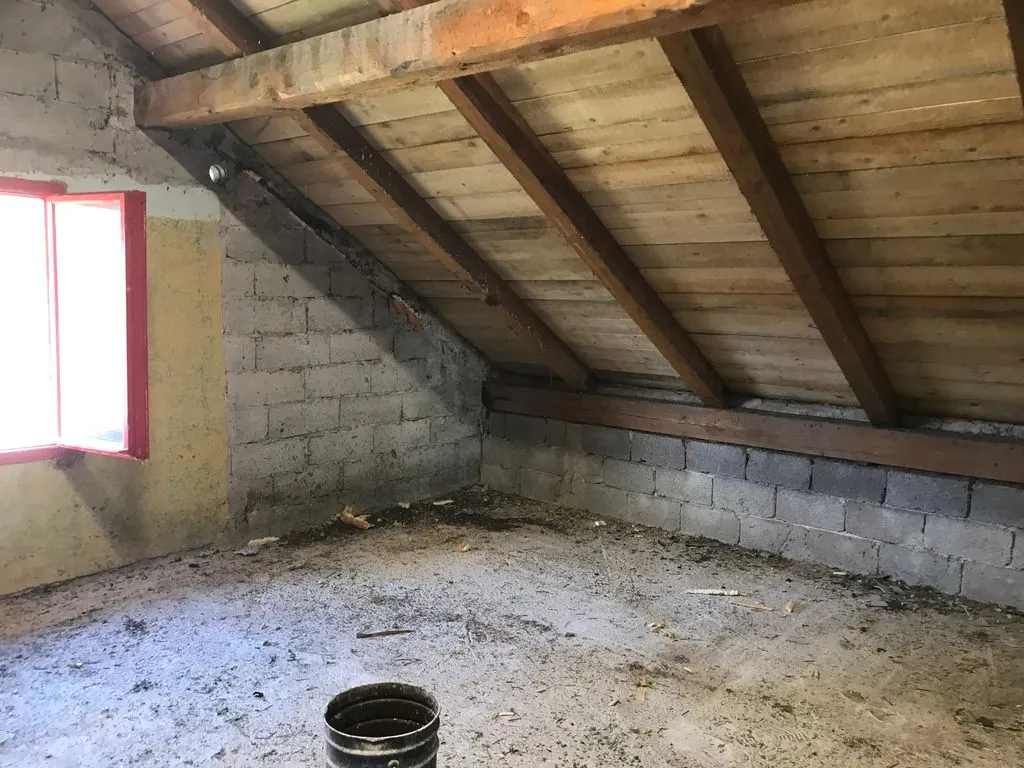 The bare, uninsulated rafters, with the exterior board sheathing visible above the rafters.